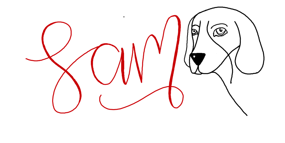 Logo-Sam-trans-png_1.png